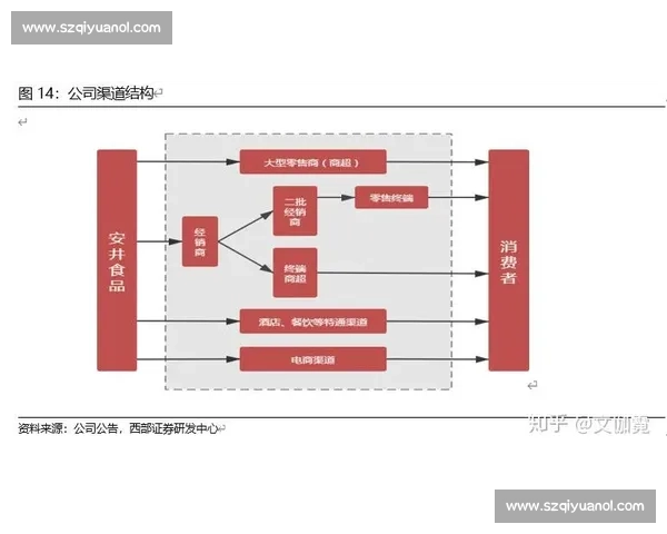 以股东价值为核心推动企业可持续发展与战略创新路径分析 以股东价值为核心推动企业可持续发展与战略创新路径分析
